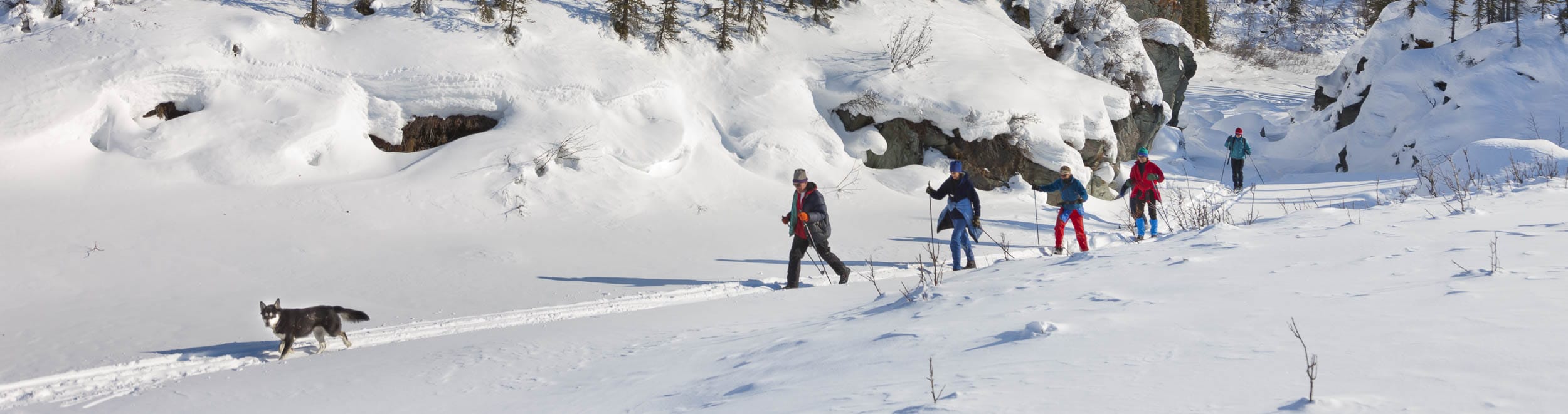 Enjoy cross country skiing and winter fun - Arctic Getaway